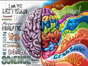 left-brain-right-brain